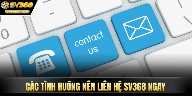 Các tình huống nên liên hệ SV368 ngay