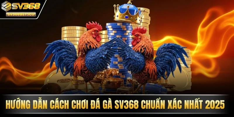 Cách chơi đá gà SV368