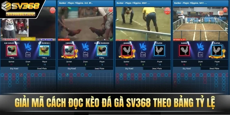 Giải mã cách đọc kèo đá gà SV368 theo bảng tỷ lệ 