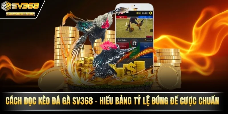 Cách đọc kèo đá gà SV368