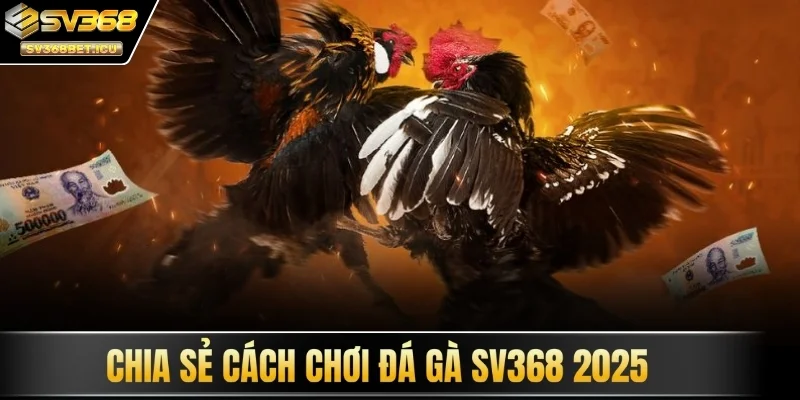 Chia sẻ cách chơi đá gà SV368 2025