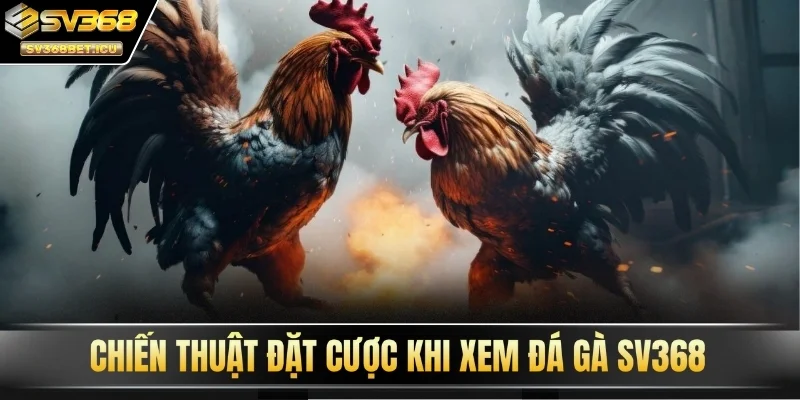 Chiến thuật đặt cược khi xem đá gà SV368