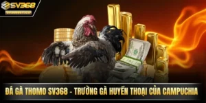 Đá gà Thomo SV368