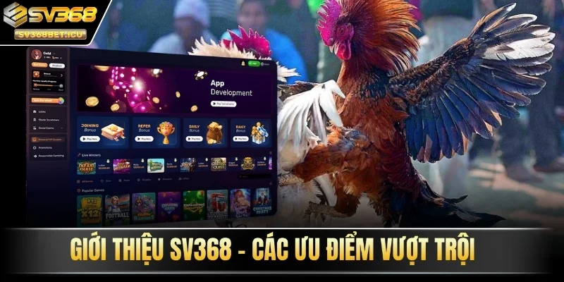 Giới thiệu SV368 - Các ưu điểm vượt trội