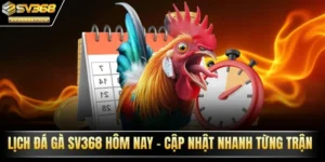 Lịch đá gà SV368