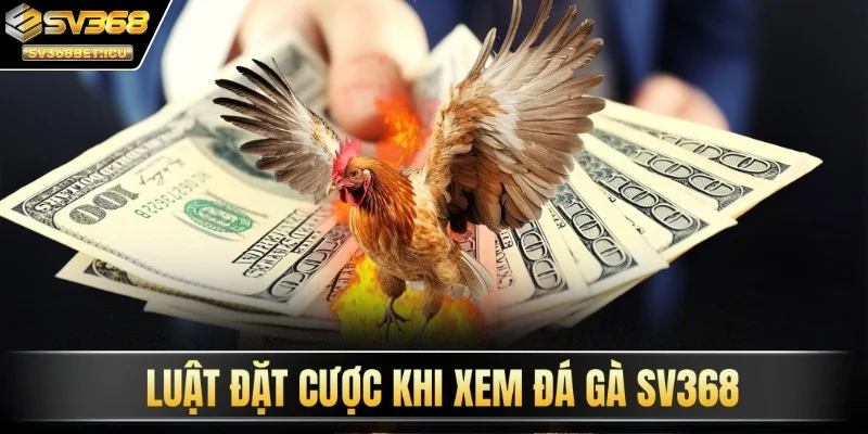 Luật đặt cược khi xem đá gà SV368