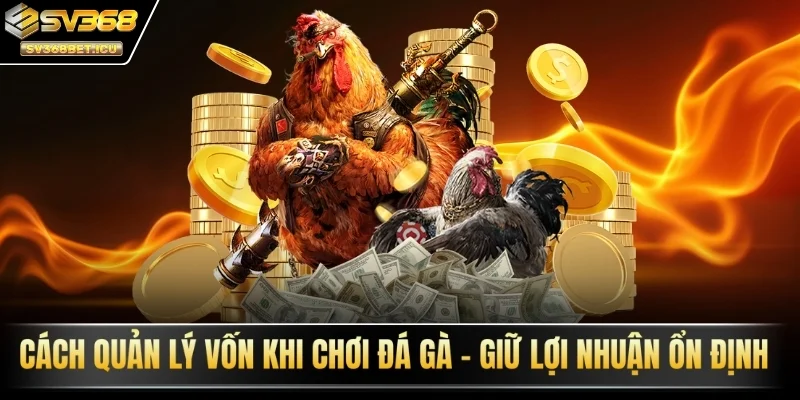 quản lý vốn khi chơi đá gà