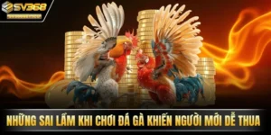 sai lầm khi chơi đá gà