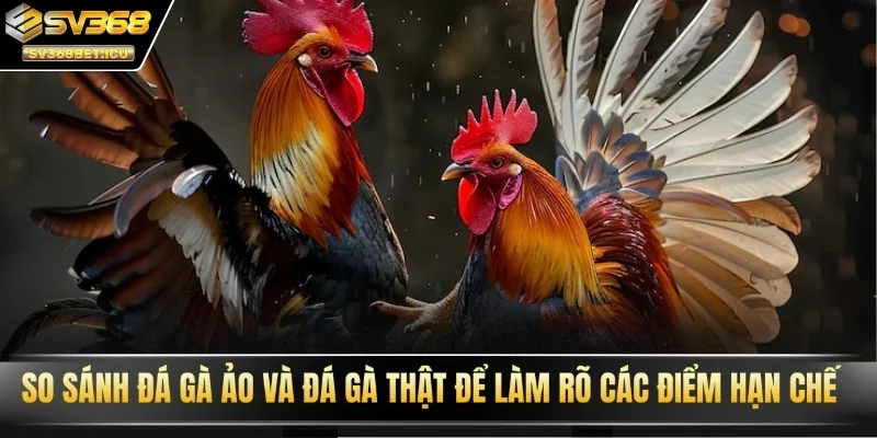 So sánh đá gà ảo và đá gà thật để làm rõ các điểm hạn chế